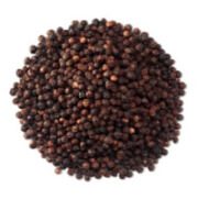 Herbs/Spices